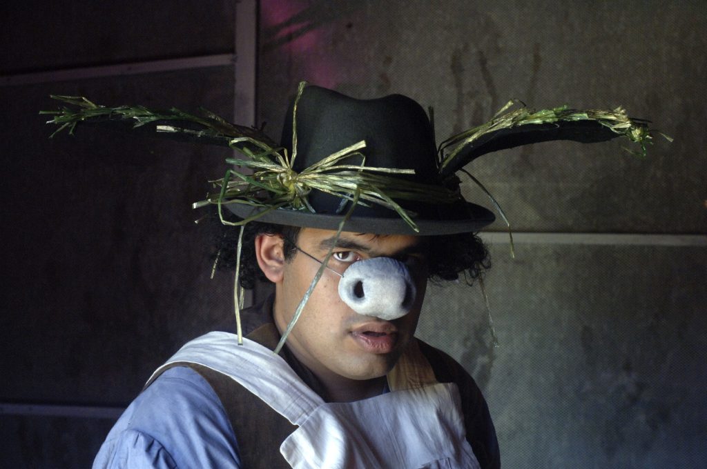 Picture from Animal Farm with Mind the Gap